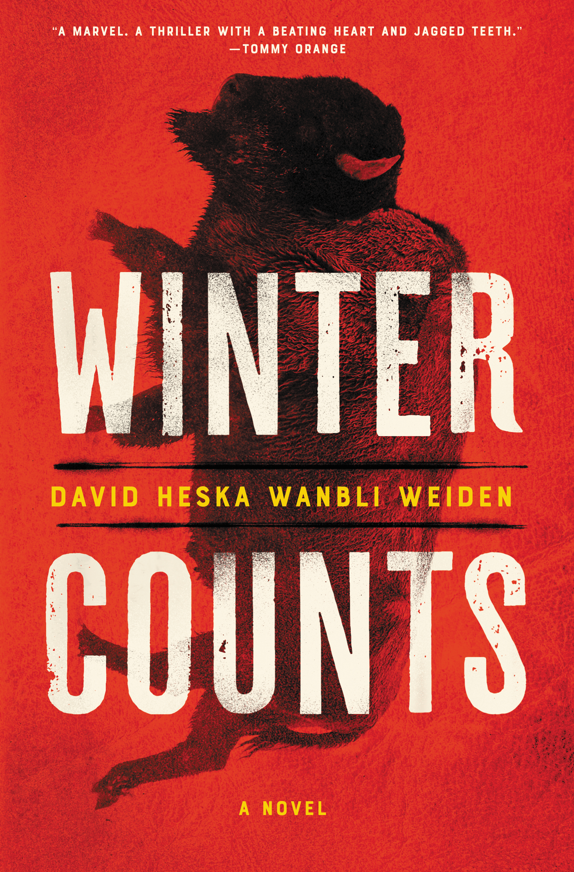 Winter Counts by David Weiden